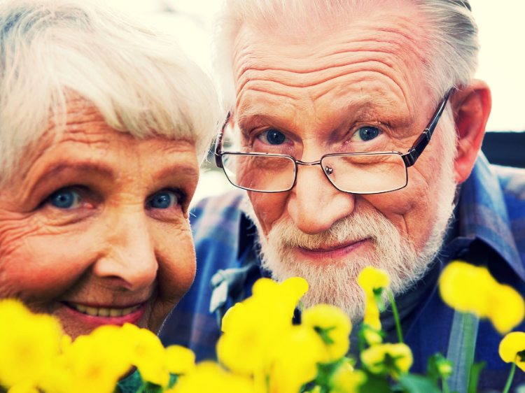 счастливые старики пахнут цветами